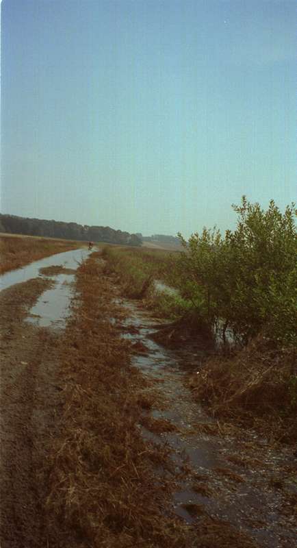 bild14.jpg