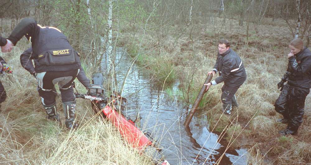 bild11.jpg