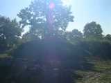 imgp0026.jpg