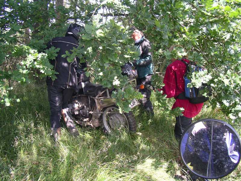 bild18.jpg
