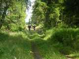 bild12.jpg