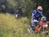bild26.jpg
