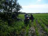 bild29.jpg