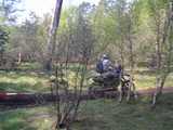 bild057.jpg