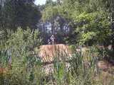 imgp0086.jpg