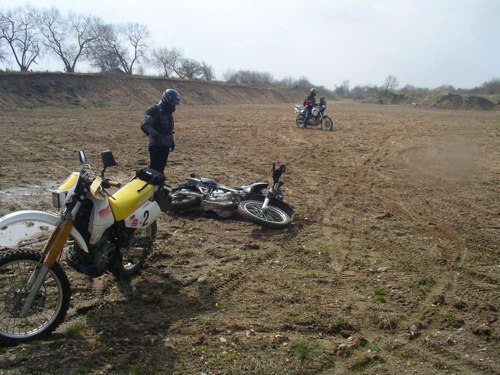 imgp0009.jpg