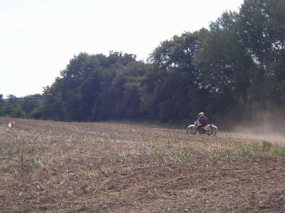 imgp0059.jpg