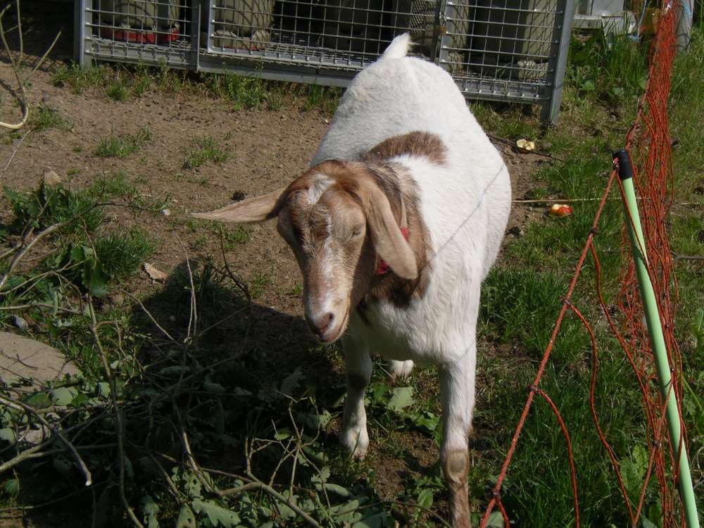 imgp0137.jpg