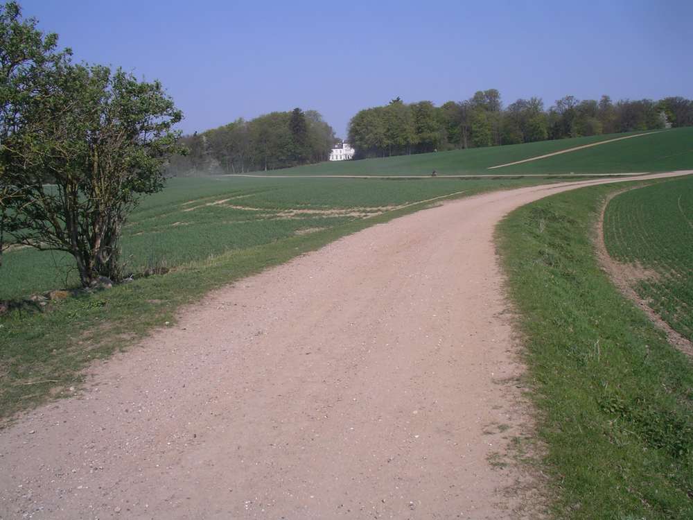imgp0008.jpg