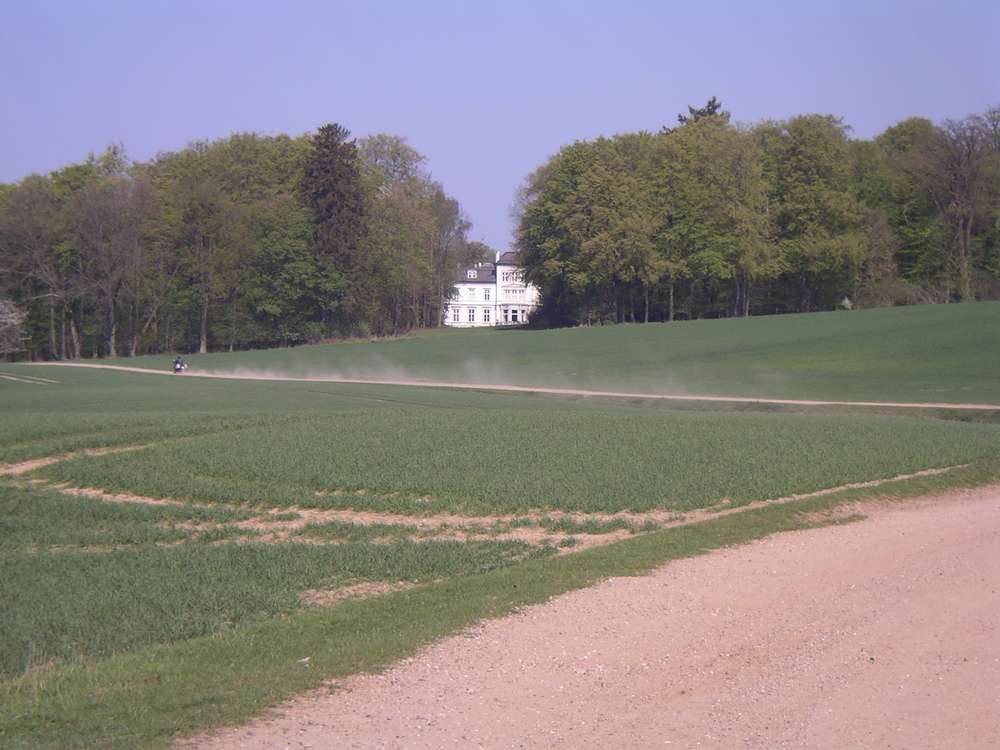 imgp0010.jpg