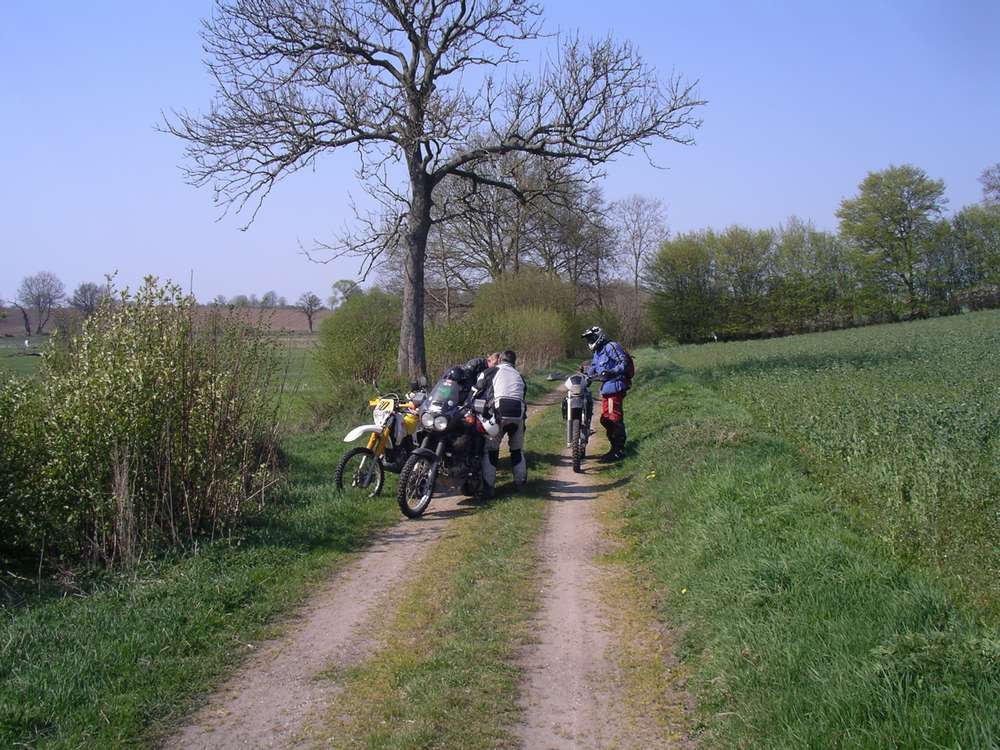 imgp0016.jpg