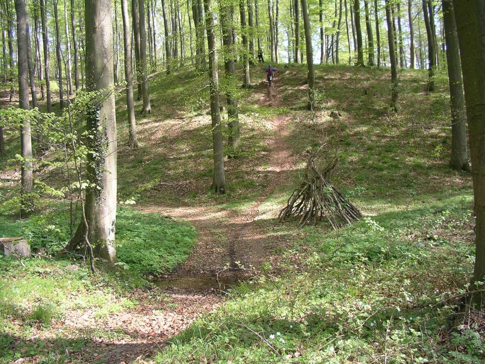 imgp0020.jpg
