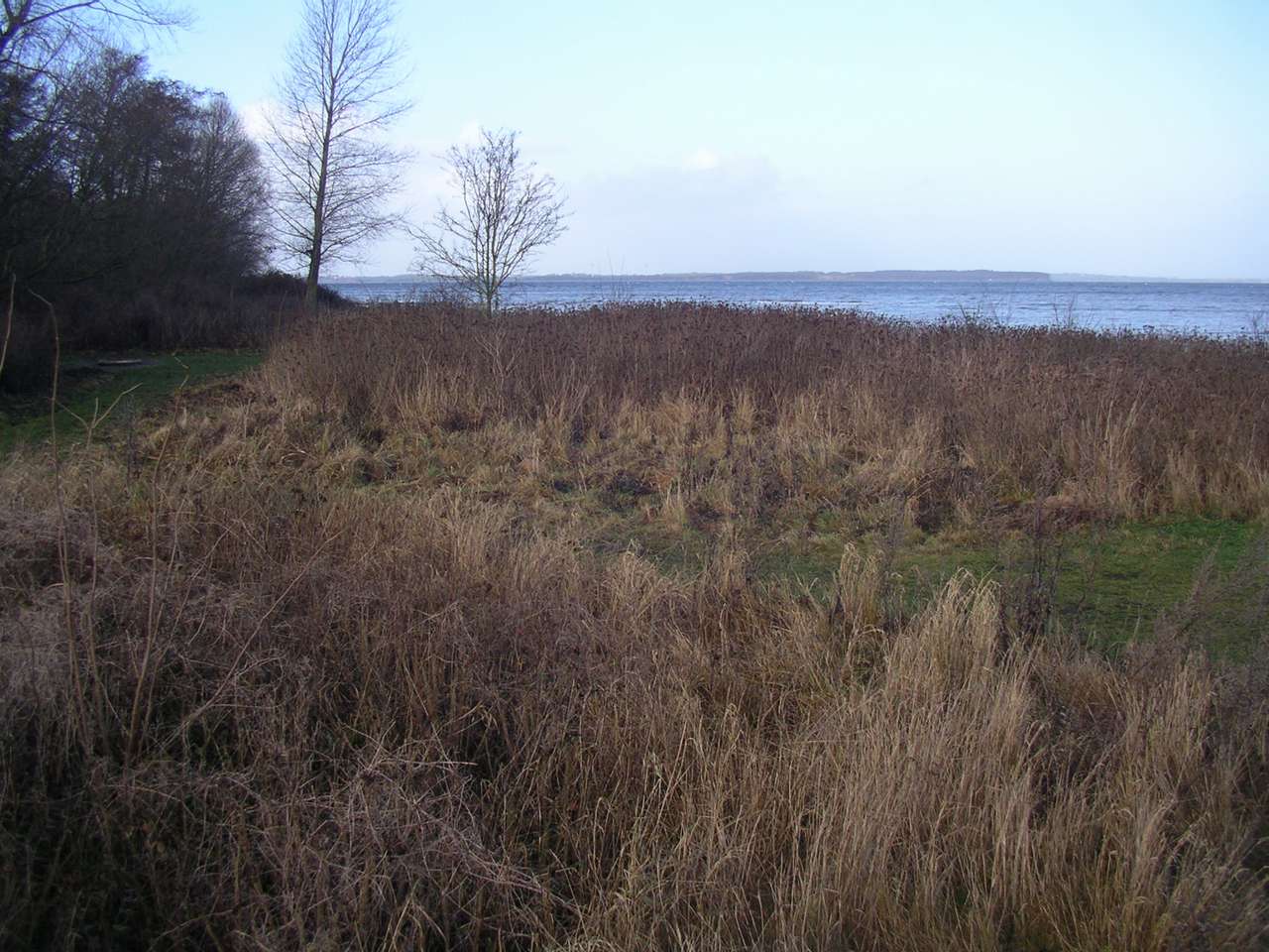 imgp0021.jpg